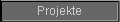 Projekte